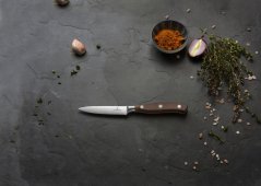 Nůž Grand Maître kuchyňský, Wood, 10 cm