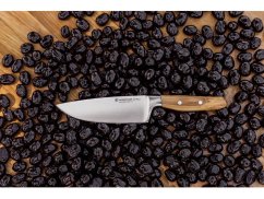 Nůž kuchařský Amici 16 cm