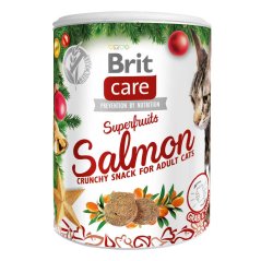 Brit Care Cat Christmas Superfruits 100g