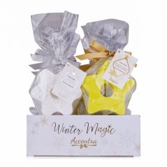 FIZZER - bublifuk 120g WINTER MAGIC ve tvaru hvězdy na dřevěné tyčce, 2 motivy/1vůně ACCENTRA