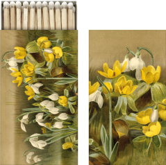Dárkové zápalky Winter Aconite & Snowdrops