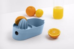 Lis na citrusy Oblo Medium Ocean