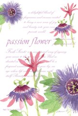 Vonný sáček Passion Flower