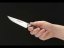 Nůž univerzální Forge 11 cm