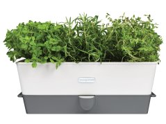 Samozavlažovací květináč pro uchování bylinek - trojitý, 36,5x13,2x13,5 cm, GS