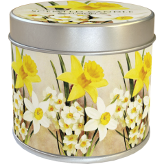 Vonná svíčka v plechové dóze Yellow Spring Flowers Daffodil