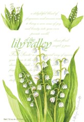 Vonný sáček Lily Of The Valley